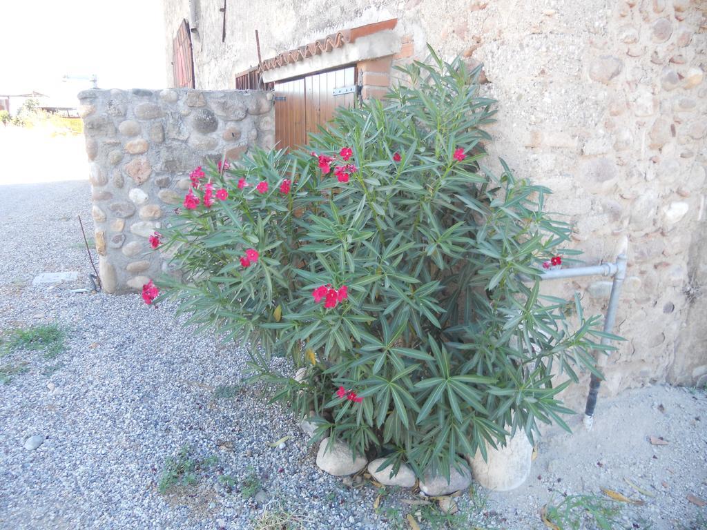Agriturismo Le Mura Del Gherlo Villa Valeggio sul Mincio Eksteriør billede